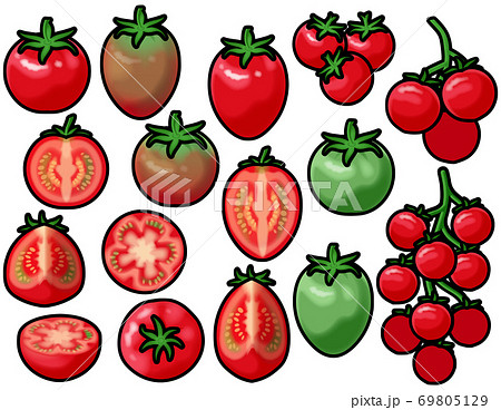 色々なミニトマトのイラスト素材