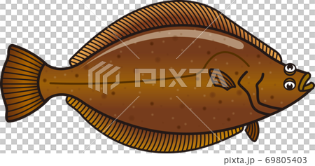 咖哩 咖哩 69805403