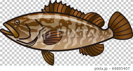 クエ（アラ） 九絵 69805407