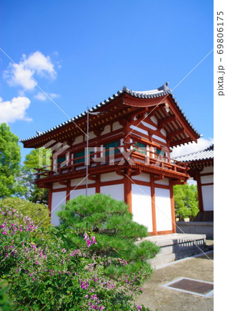 古都奈良の薬師寺 :  玄奘三蔵院伽藍脇で咲き誇る萩の花 69806175