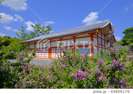 古都奈良の薬師寺 :  玄奘三蔵院伽藍脇で咲き誇る萩の花 69806176