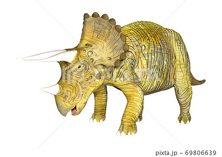 トリケラトプスのイラスト素材