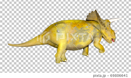 Triceratops Triceratops 69806641