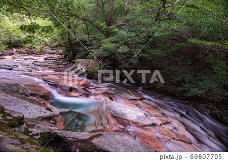 清流桑原川に流れる美しき水藤河内渓谷 69807705
