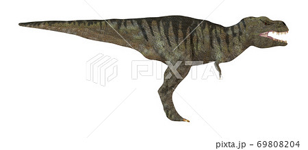 T-REX☆ティラノサウルス 69808204