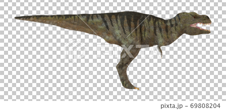 T-REX☆ティラノサウルス 69808204