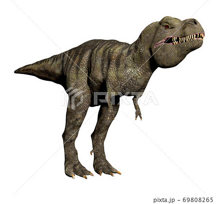 T-REX☆ティラノサウルス T-REX☆ティラノサウルス 69808265