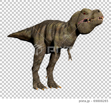 T-REX☆ティラノサウルス T-REX☆ティラノサウルス 69808265