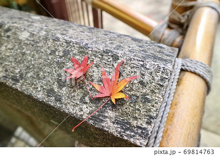 紅葉 69814763