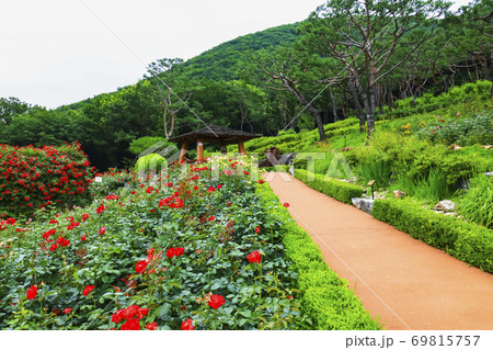 花 公園 風景 69815757