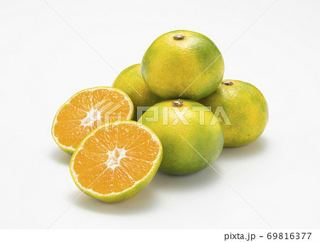 温州早生みかん 69816377