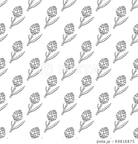 Seamless pattern with fresh artichoke Seamless pattern with fresh artichoke 69816875