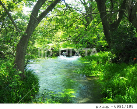 静岡県　楽寿園の景色　9月 69817199
