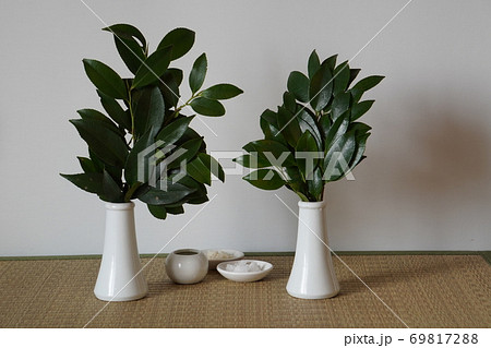 2020年9月25日東京都八王子市で撮影:榊立に入れ替えた榊 2020年9月25日東京都八王子市で撮影:榊立に入れ替えた榊 69817288