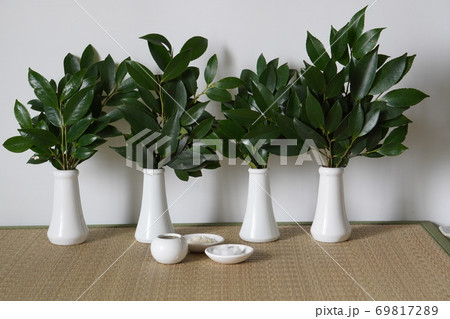 2020年9月25日東京都八王子市で撮影:榊立に入れ替えた榊 2020年9月25日東京都八王子市で撮影:榊立に入れ替えた榊 69817289