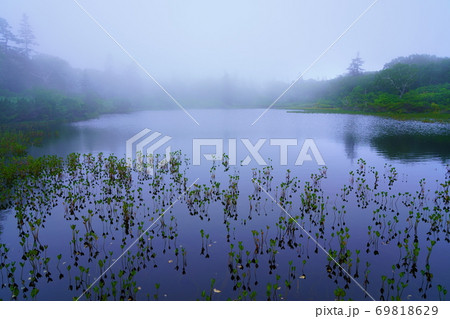 北海道2020夏 神仙沼 神秘的 北海道2020夏 神仙沼 神秘的 69818629