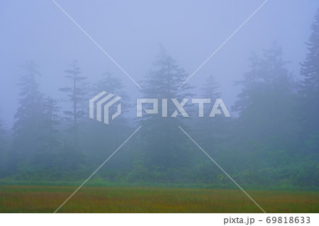 北海道2020夏 神仙沼 神秘的 北海道2020夏 神仙沼 神秘的 69818633