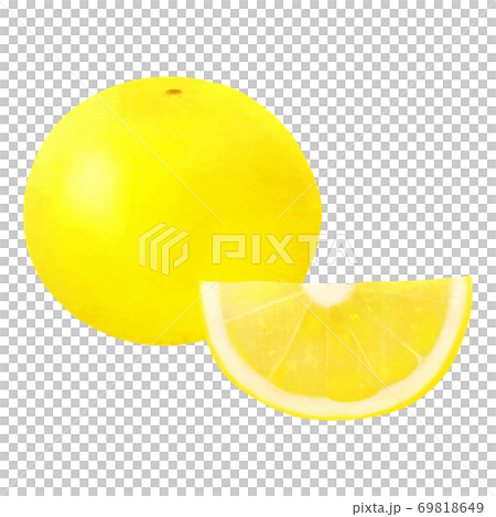 グレープフルーツ 69818649
