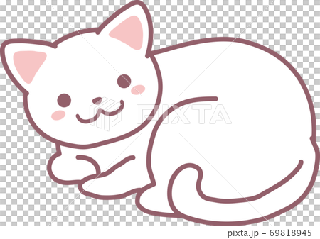 白猫 白猫 69818945