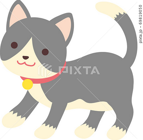 灰色タキシード猫のイラスト素材