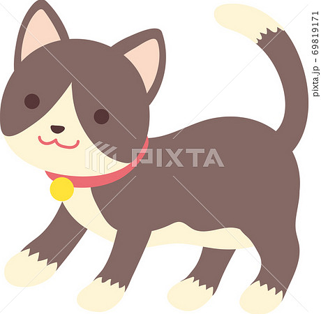 白黒ハチワレ猫のイラスト素材