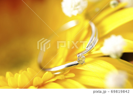 お花の中のダイヤの指輪 お花の中のダイヤの指輪 69819842