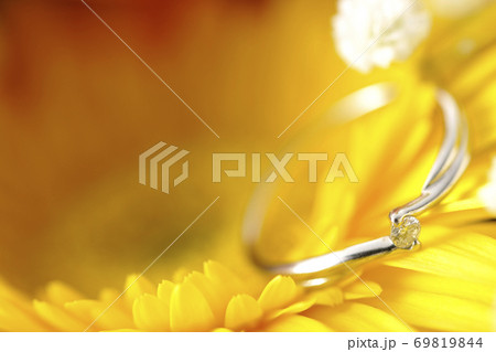 お花の中のダイヤの指輪 お花の中のダイヤの指輪 69819844
