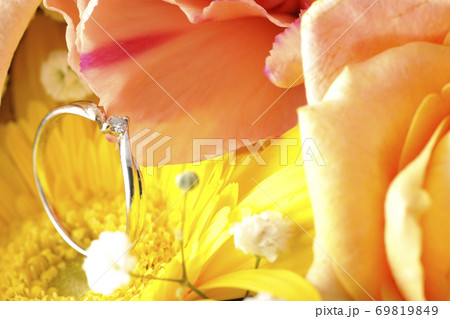 お花の中のダイヤの指輪 お花の中のダイヤの指輪 69819849