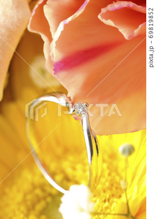 お花の中のダイヤの指輪 69819852