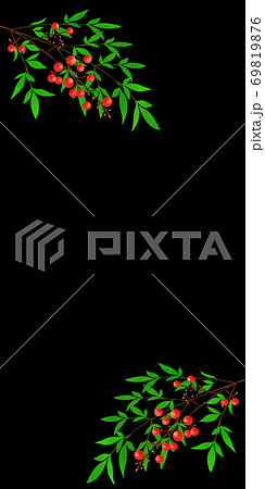 南天 テクスチャ 南天 テクスチャ 69819876