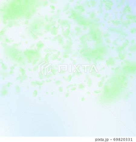 Green flower petals falling down. Rare romantic fl 69820331