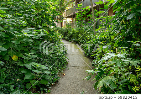 港区立高松児童遊園 69820415