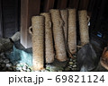 豊川の手筒花火 69821124