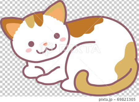 三毛猫 三毛猫 69821305