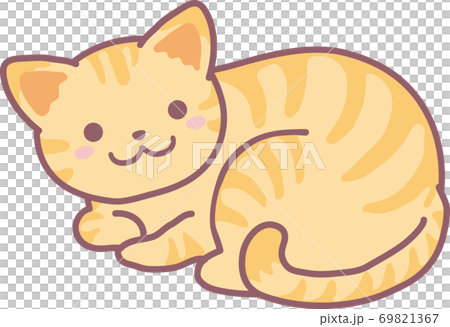 茶トラ猫 茶トラ猫 69821367