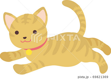 茶トラ猫のイラスト素材