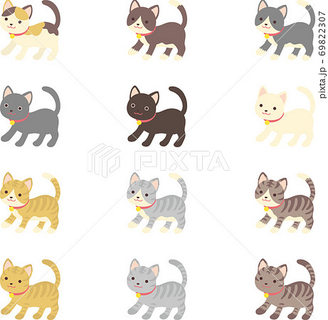 色々な猫 69822307