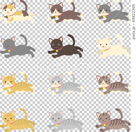 Various cats 69822309