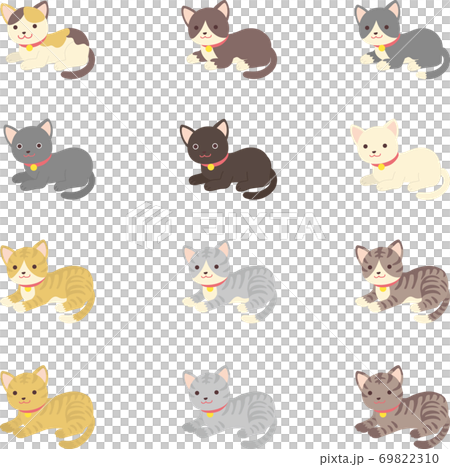 Various cats 69822310