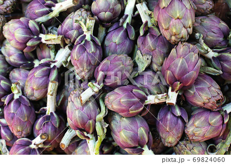 Artichokes Artichokes 69824060