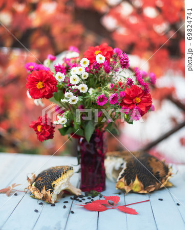 Bouquet of red and white autumn flowers 69824741