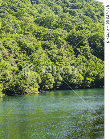 鬱蒼と生い茂る森と緑色の川面02の写真素材