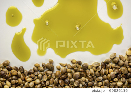 dry hemp seeds and oil abstract dry hemp seeds and oil abstract 69826156