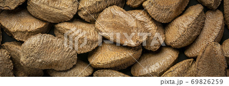 Brazilian nuts in shells closeup background 69826259