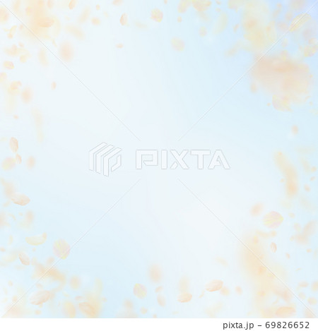 Yellow orange flower petals falling down. Beauteou Yellow orange flower petals falling down. Beauteou 69826652