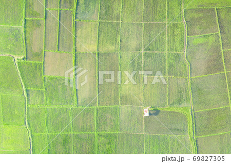 Cultivated land and land plot or land lot in aerial view. Cultivated land and land plot or land lot in aerial view. 69827305