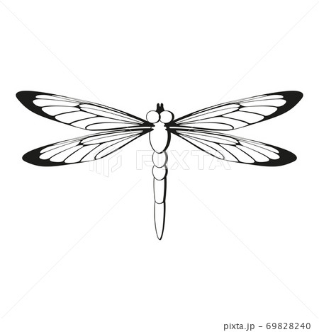 Silhouette Dragonfly Black Pattern Icon のイラスト素材 69828240 Pixta