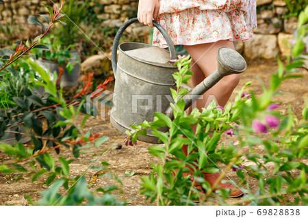 watering can for watering flowers in hands of girl watering can for watering flowers in hands of girl 69828838