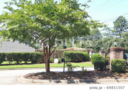 風景 建物 木 69831507