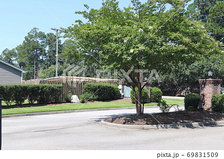 建物 風景 木 69831509